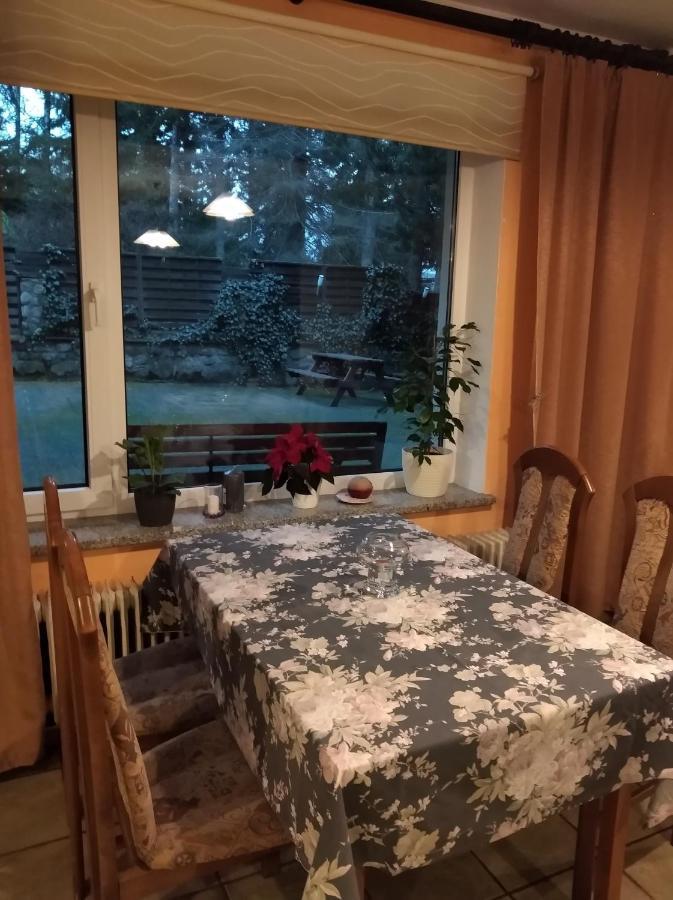 Homestay Syriusz *
